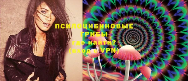ешки Абинск
