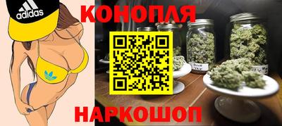 a pvp Краснознаменск
