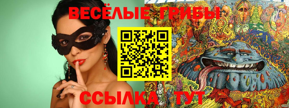 Псилоцибиновые грибы Psilocybine cubensis  Вход с VPN  Красноармейск 